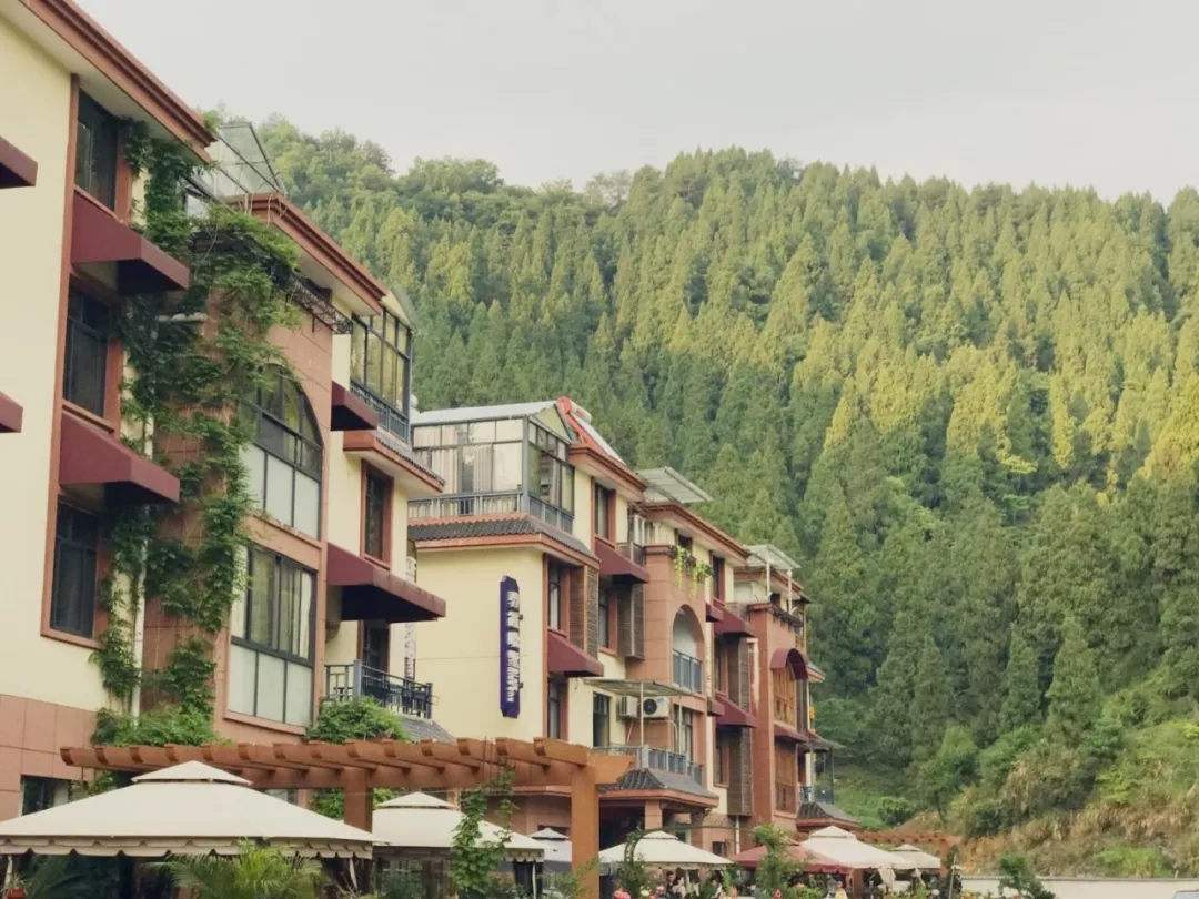 光華賦能,團(tuán)建活動(dòng),員工活動(dòng)